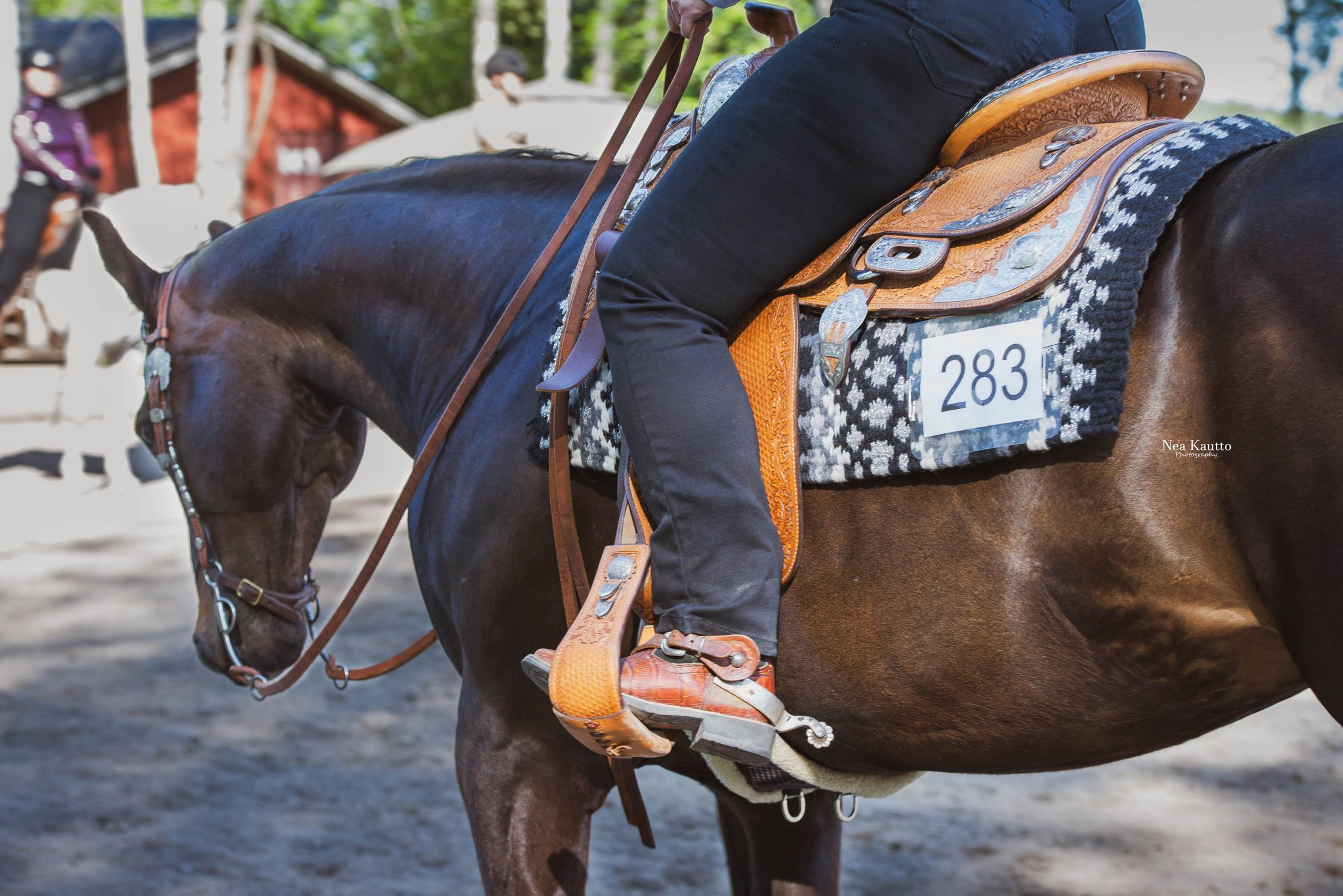 Markkinointi tilastot